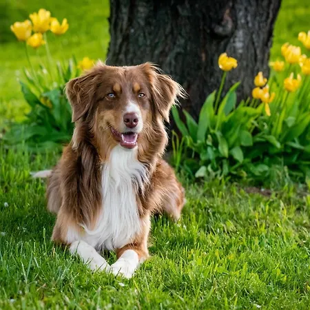 Villa With Garden Near Beautiful Golf Course