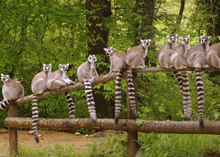 With Garden Near Beautiful Golf Course Villa Vasles