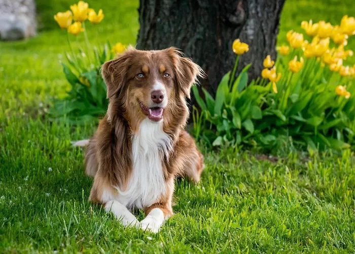 Villa With Garden Near Beautiful Golf Course